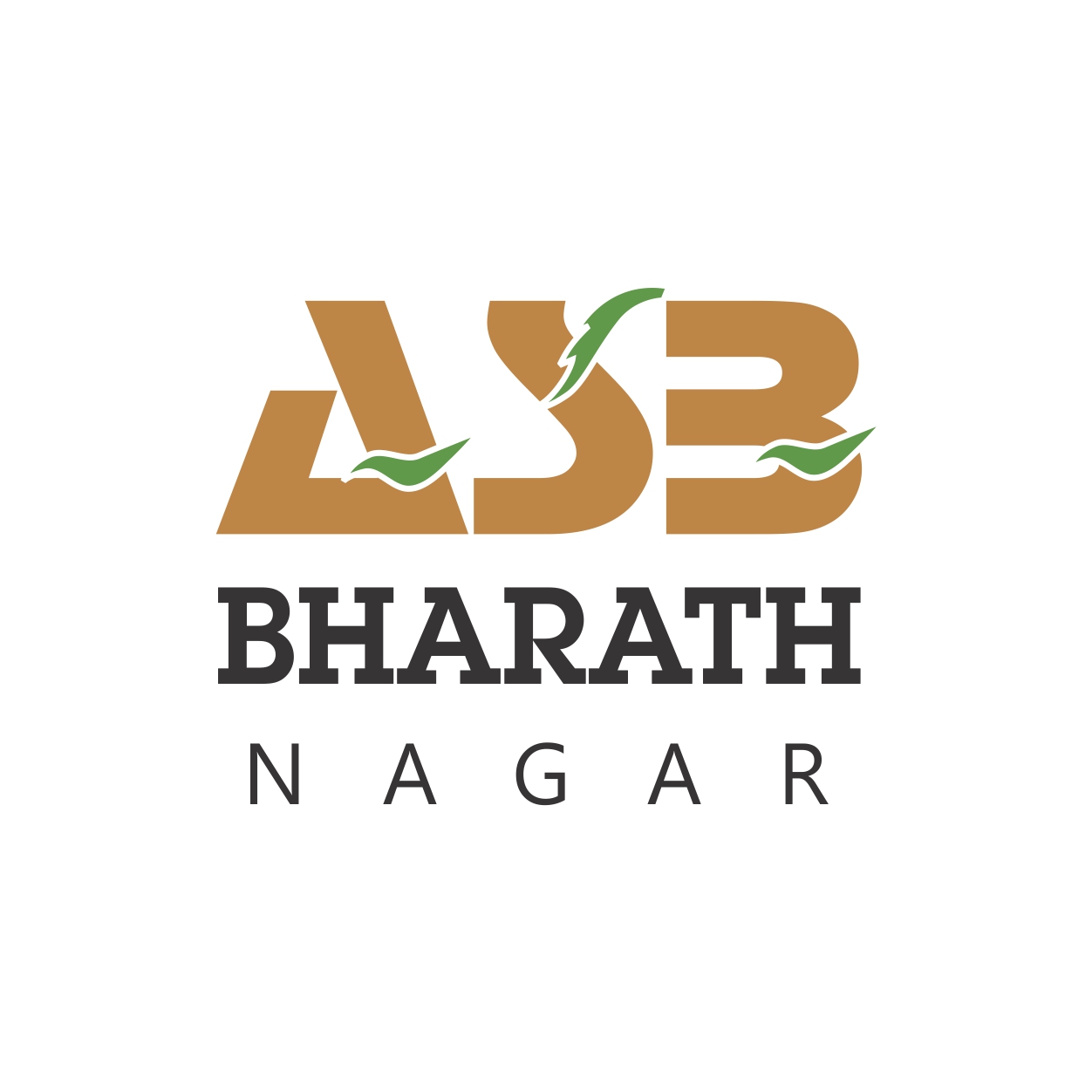 Bharath Nagar